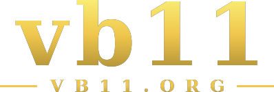 vb11 logo